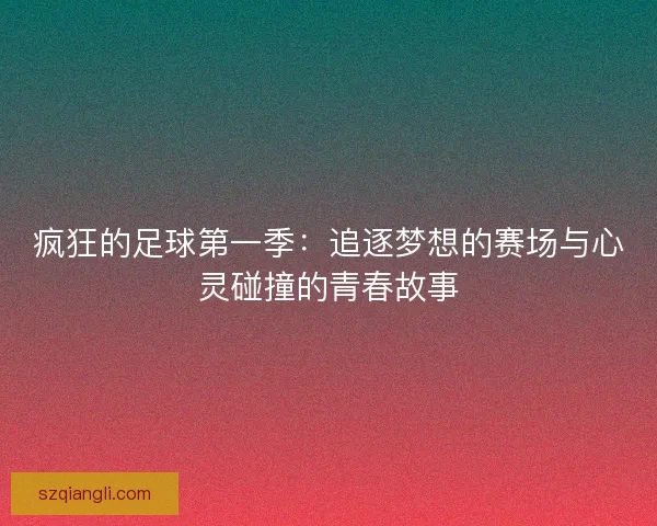 疯狂的足球第一季：追逐梦想的赛场与心灵碰撞的青春故事