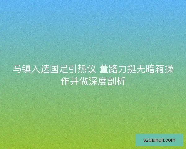 马镇入选国足引热议 董路力挺无暗箱操作并做深度剖析