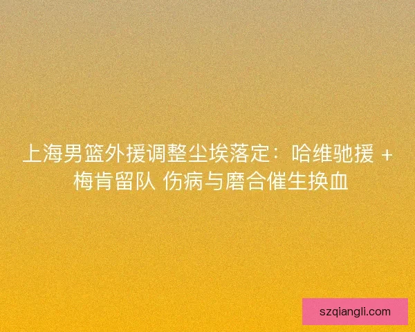 上海男篮外援调整尘埃落定：哈维驰援 + 梅肯留队 伤病与磨合催生换血