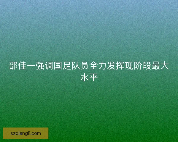 邵佳一强调国足队员全力发挥现阶段最大水平