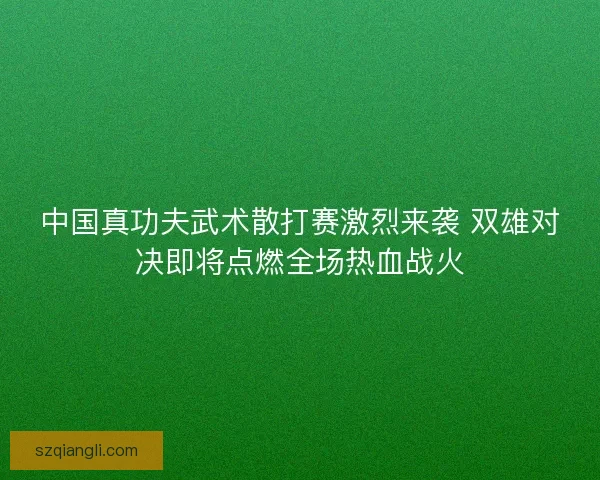 中国真功夫武术散打赛激烈来袭 双雄对决即将点燃全场热血战火 中国真功夫武术散打赛激烈来袭 双雄对决即将点燃全场热血战火